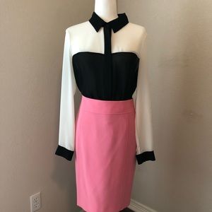 Ann Taylor Loft Pencil Skirt